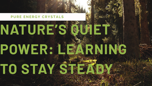 Rooted Like a Tree: Finding Strength in Stillness by Pure Energy Crystals
