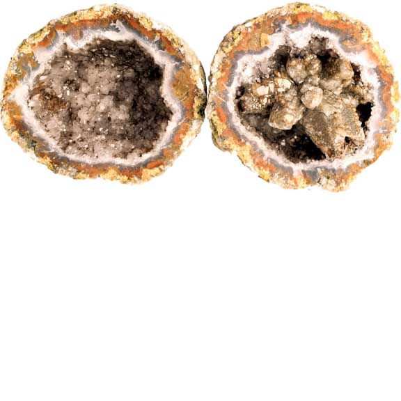 Las Choyas Coconut Whole Geodes 95% Hollow