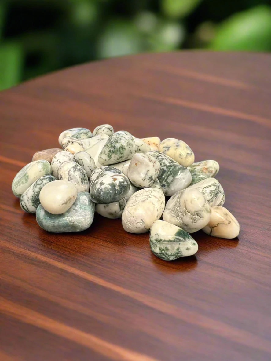 Green Tree Agate Tumble Polished Stones