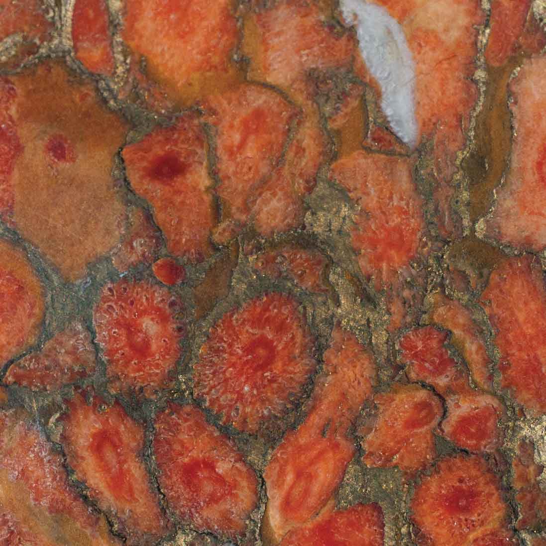 Red Coral Metal Matrix Lapidary Rough