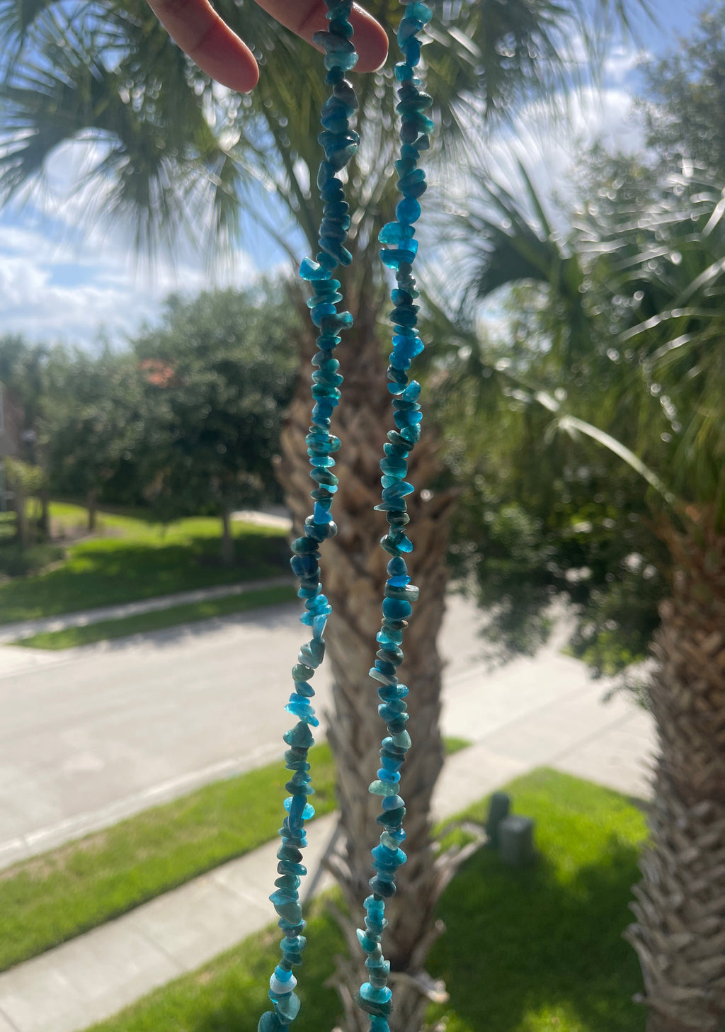 Blue beaded necklace held up to a palm tree with a road and buildings in the background