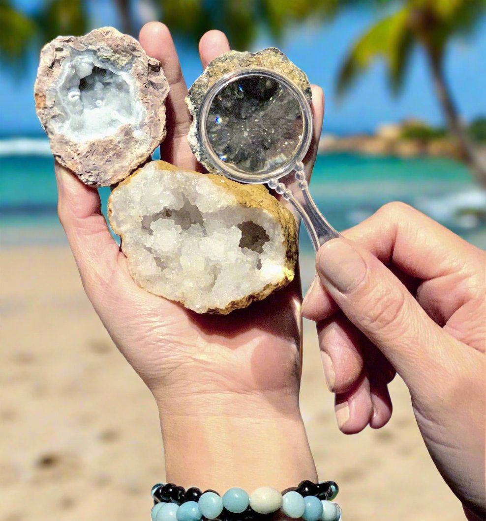 A set of 12 whole geodes from the "Break Your Own Geodes" kit, sitting on a smooth walnut table in the middle of a tropical jungle. 