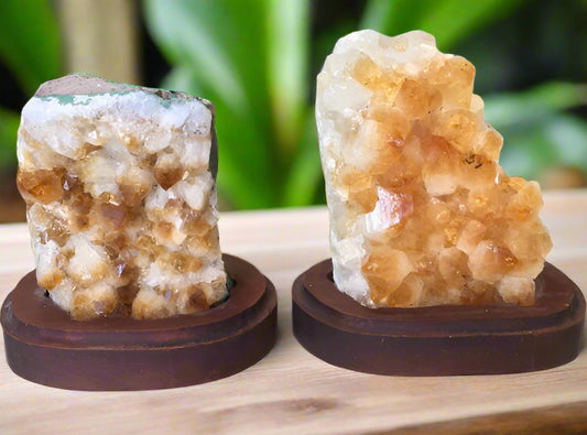 Citrine Cluster Standing Wood Bases