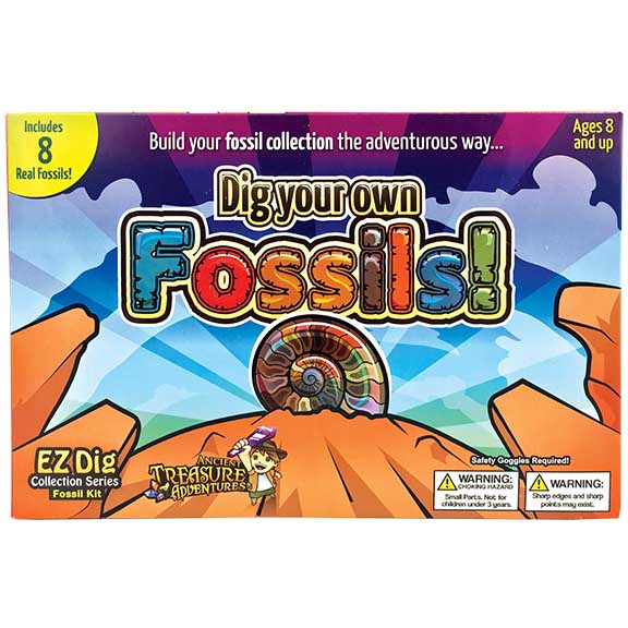 Easy To Dig Fossil Kit