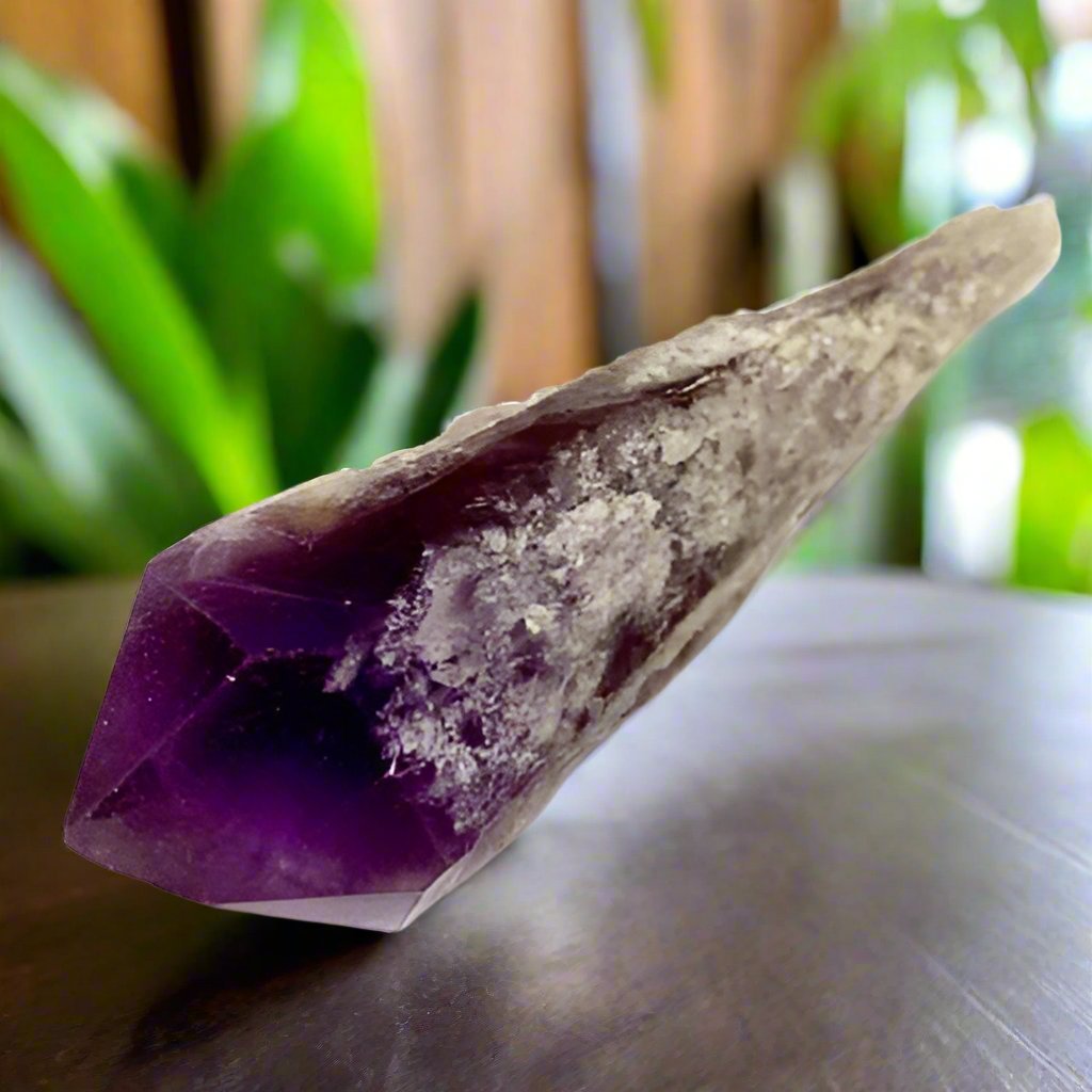 Dragon Tooth Amethyst Points