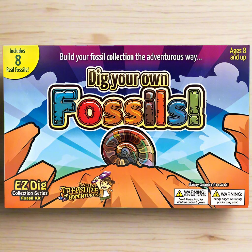 Easy To Dig Fossil Kit