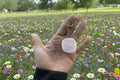 Hand holding a pink stone Ema Egg Seer Stone Polished Keychain with a keychain, blurred green background