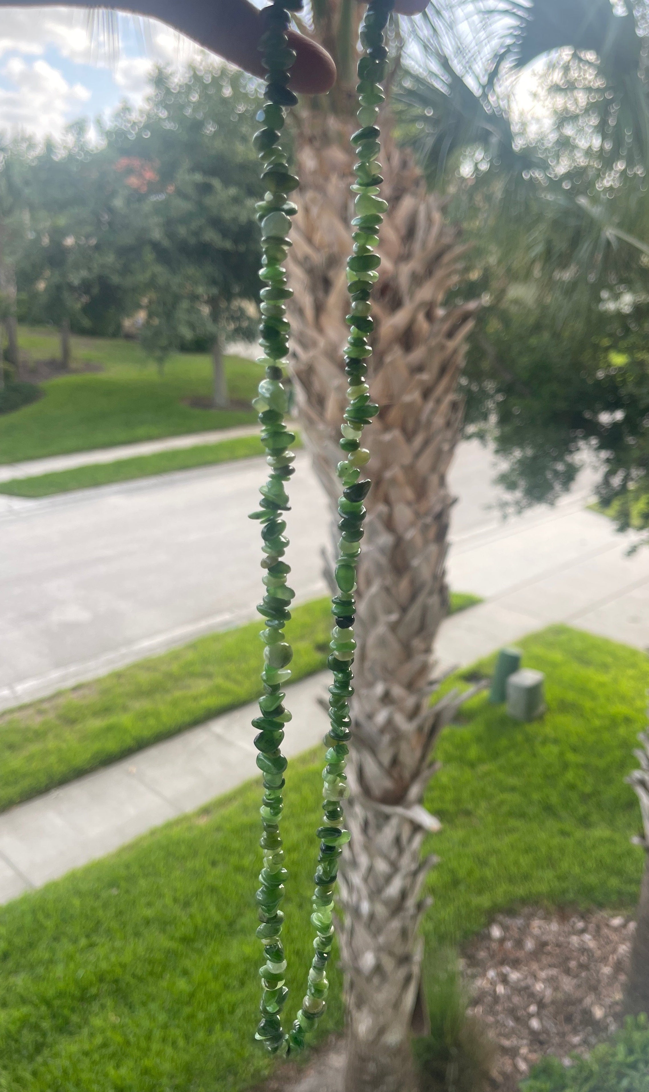 Close-up of a palm tree with decorative Green_Jade_Necklace_30-32_Inches beads hanging from it, set against a suburban background.