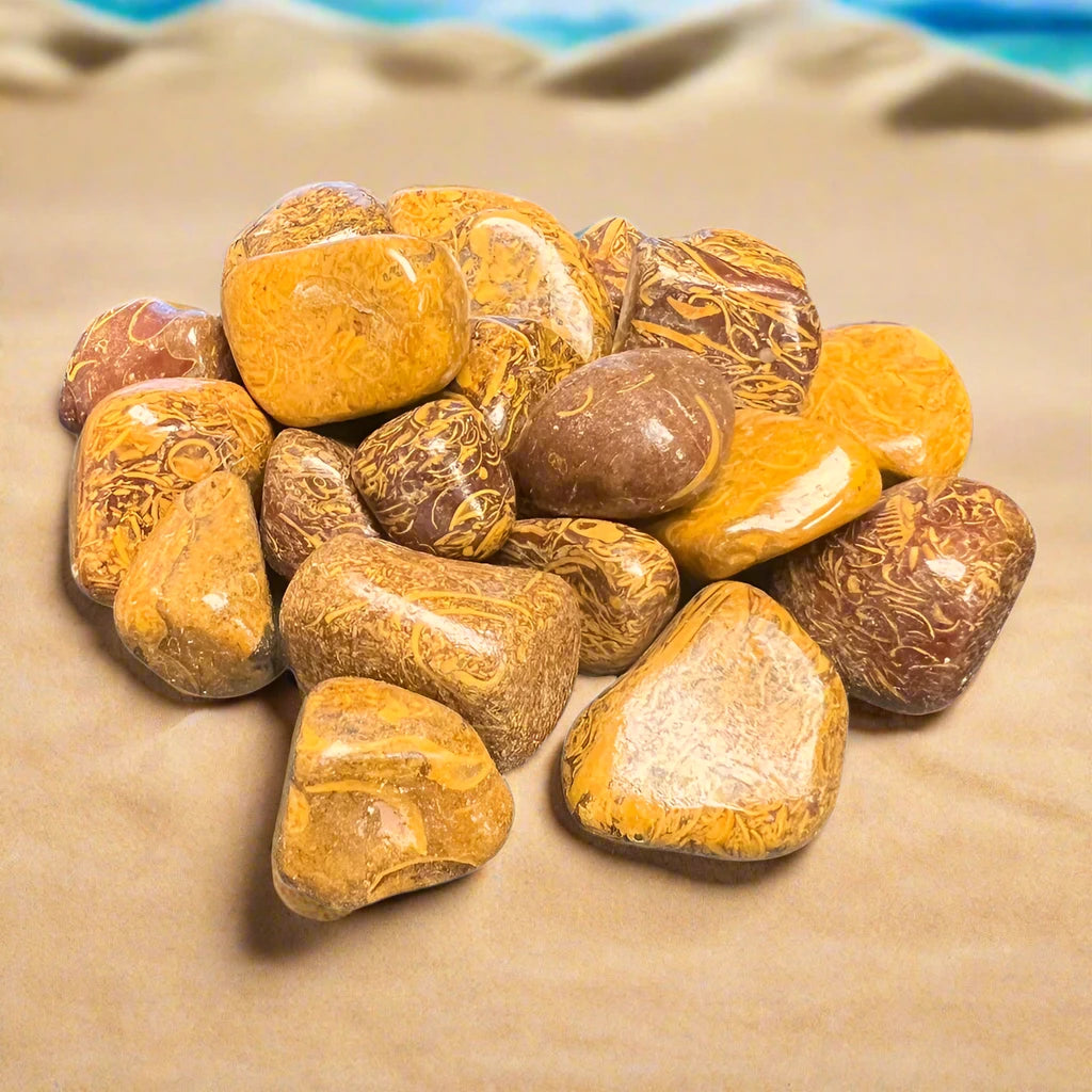 Sea Fossil Jasper Tumbled Polished Stones