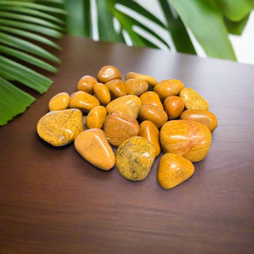 Camel Agate Tumbled Polished Stones