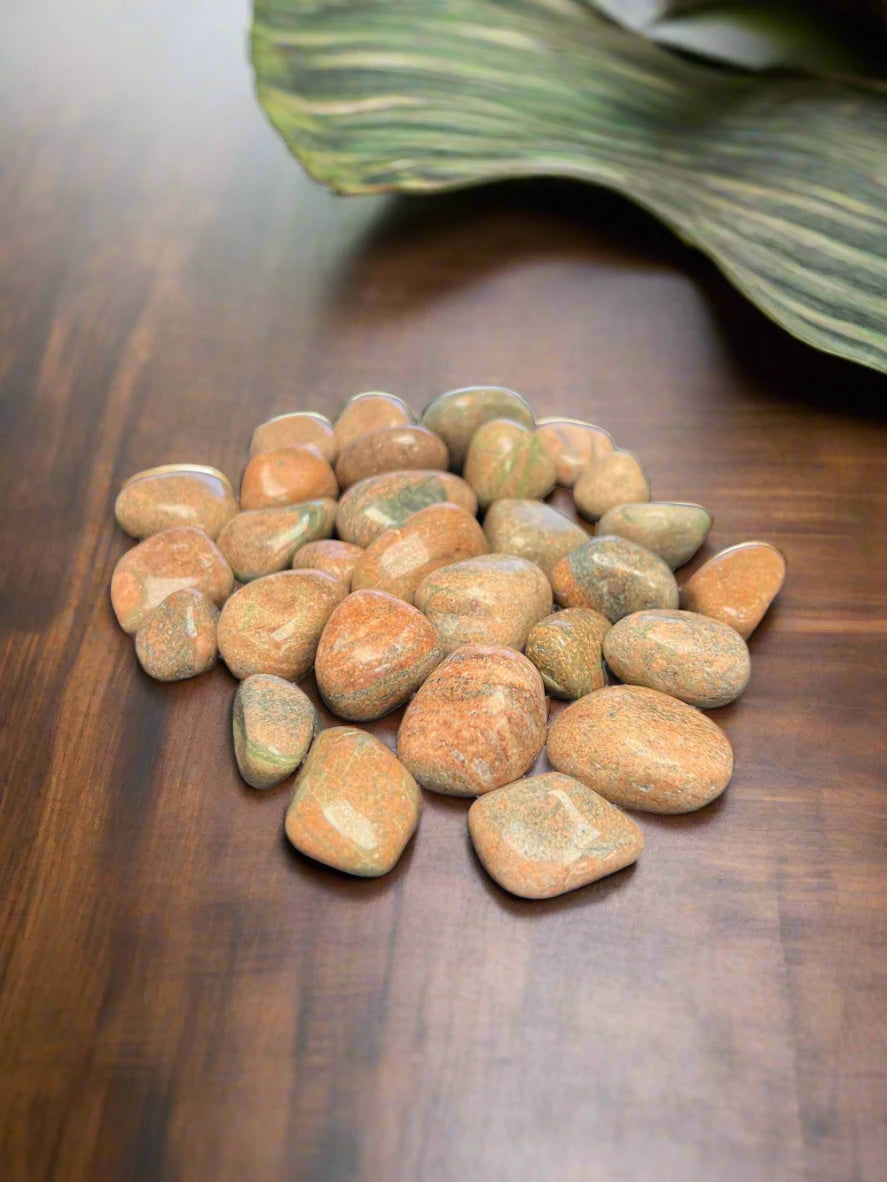 Indian Unakite Tumbled Polished Stones