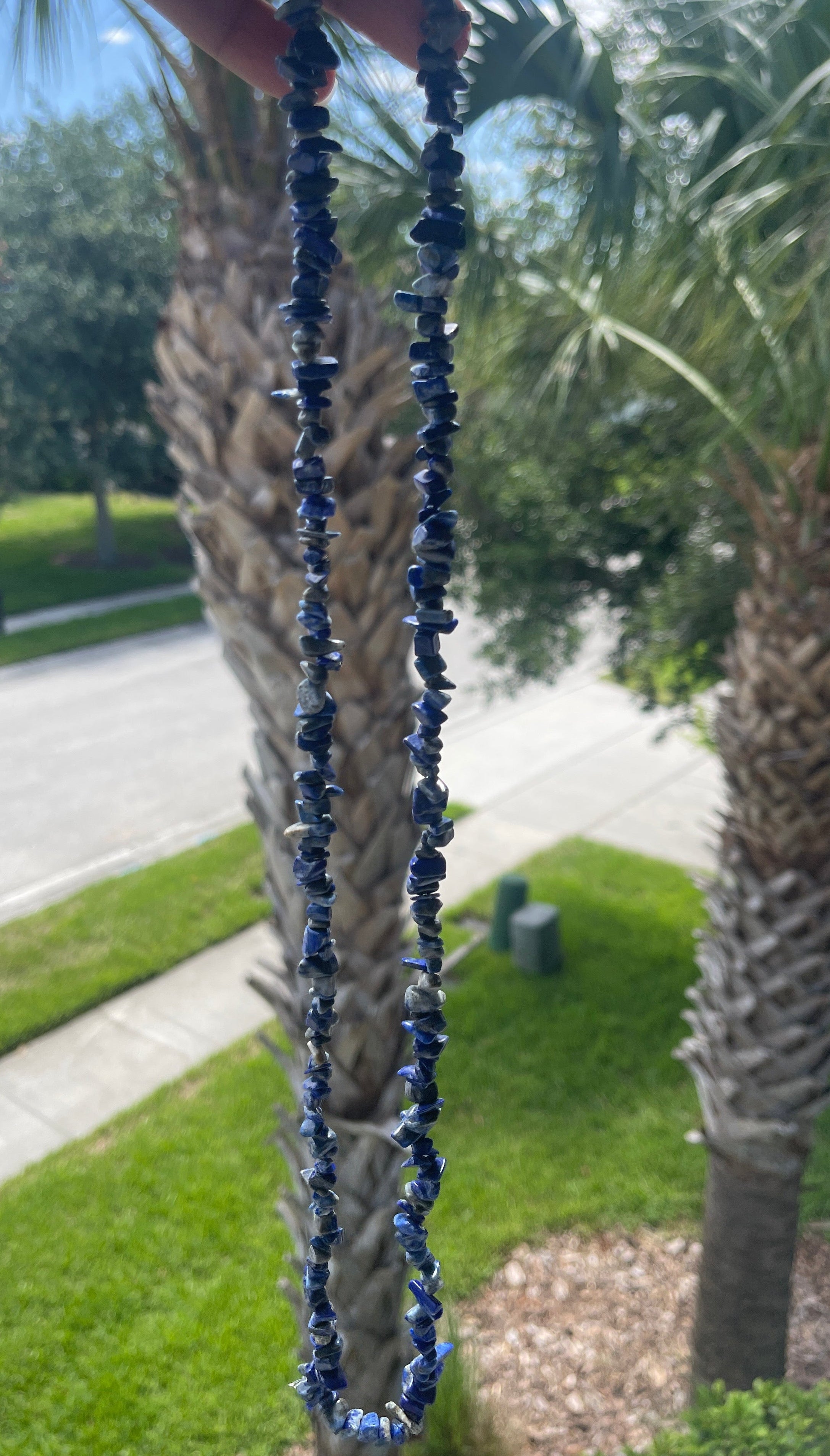 Lapis_Necklace Blue beaded necklace held up to a palm tree with a blurred outdoor background