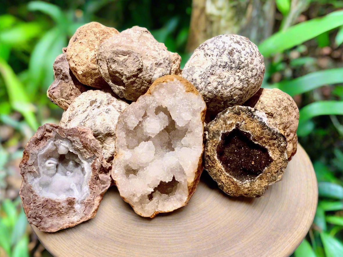 A set of 12 whole geodes from the "Break Your Own Geodes" kit, sitting on a smooth walnut table in the middle of a tropical jungle. 