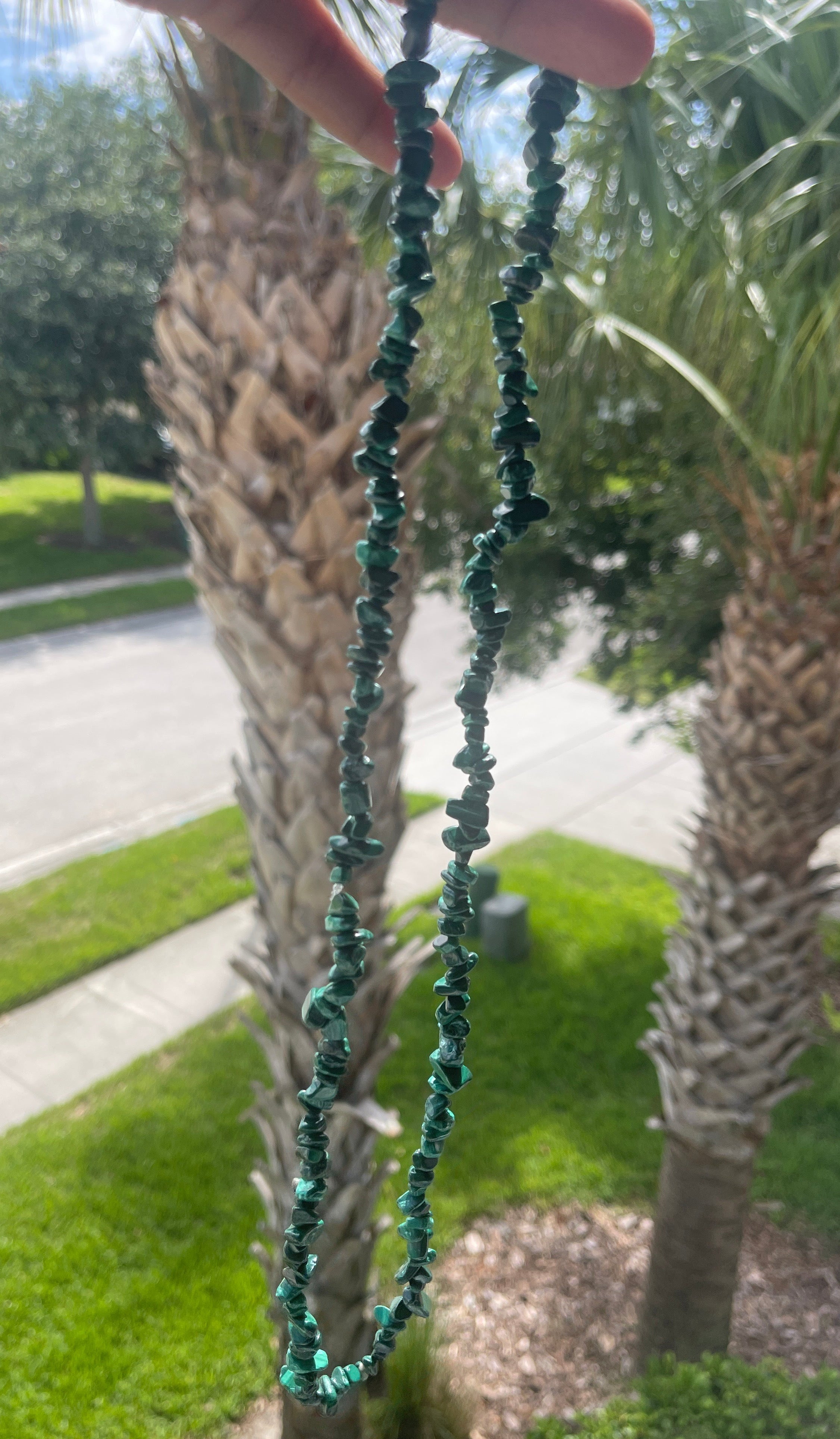 Person holding a Malachite_Necklace_30-32_Inches in front of palm tree branch