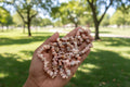 Hand holding a small pile of pink and white Pink_Opal_Necklace_30-32_Inches with park in the background.