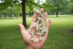 Hand holding a string of Prehnite_Chip_Necklace_30-32_Inches with a blurred park background