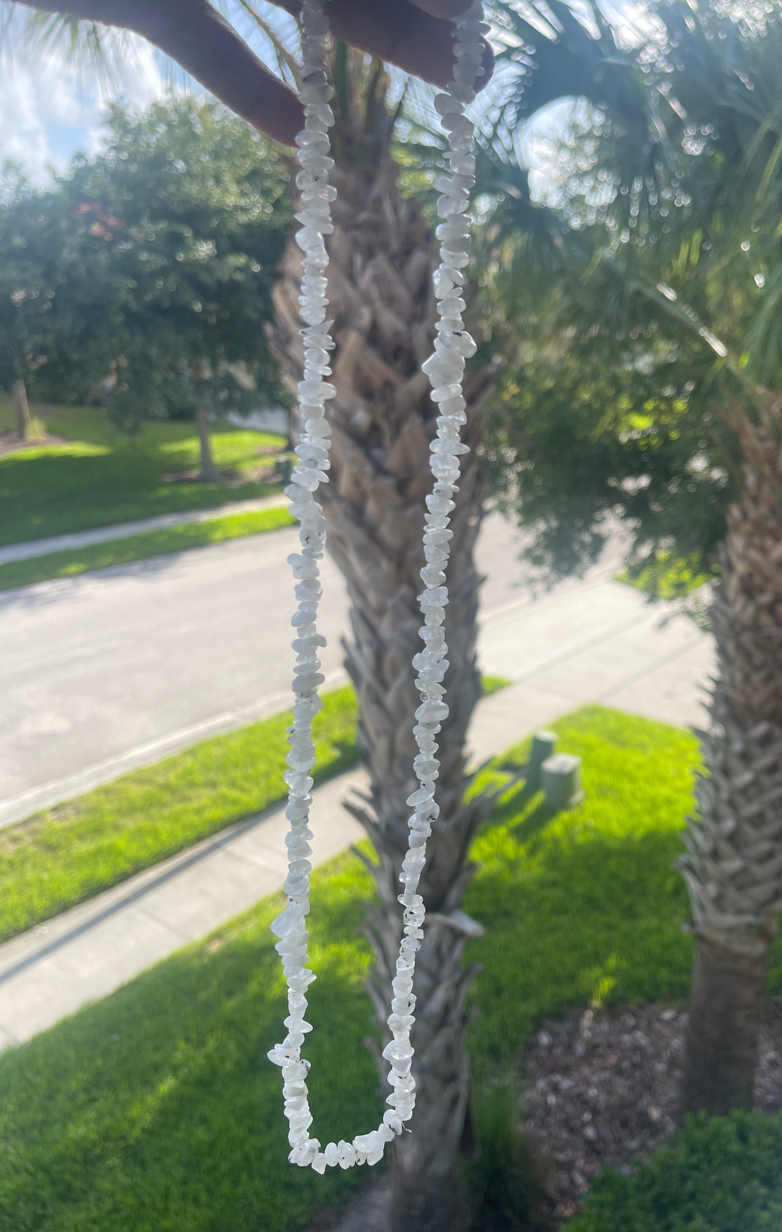 Close-up of a Rainbow_Moonstone_Necklace_30-32_Inches in front of a palm tree with a clear object held in front, blurred background