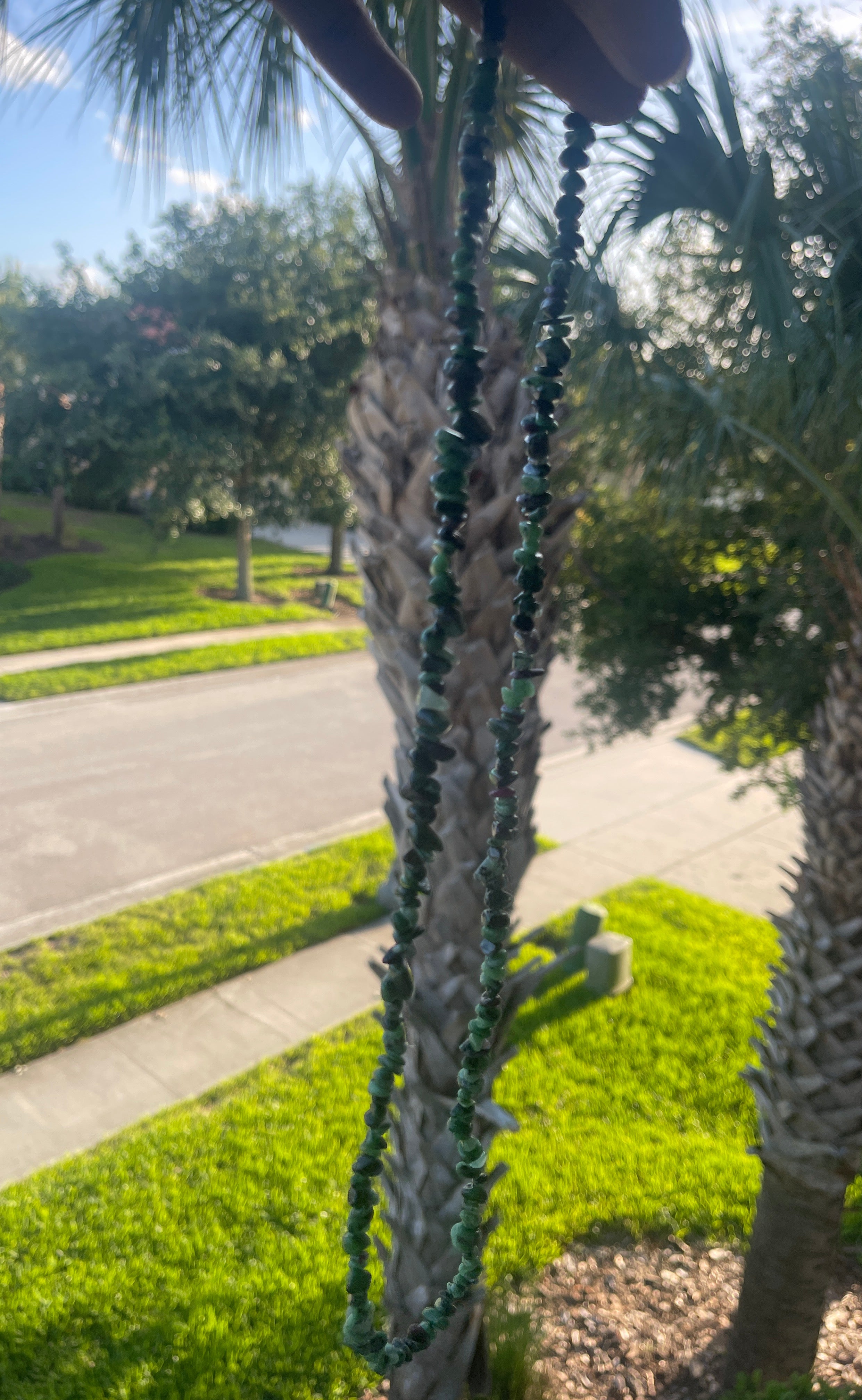 Ruby_Zoisite_Necklace_30-32_Inches_ Palm tree with decorative 30-32_Inches beads on a sunny day