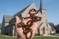 Hand holding a string of tiger eye beads with a blurred outdoor background