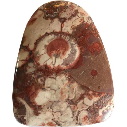 Birds Eye Rhyolite Cabochons BIRDRY