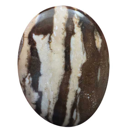 Zebra Jasper Cabochons ZEBBR