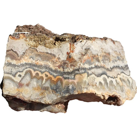 Cactus Crazy Lace Agate Lapidary Rough