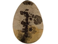 China Picture Jasper Cabochons CHPR