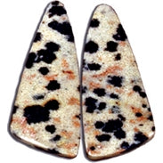 Dalmatian Jasper Cabochons