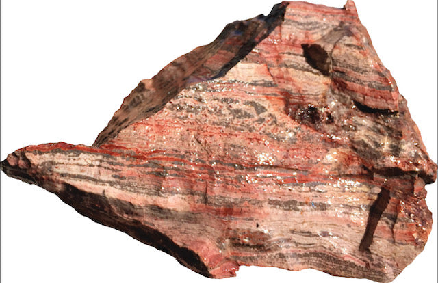 Strata Jasper Lapidary Rough