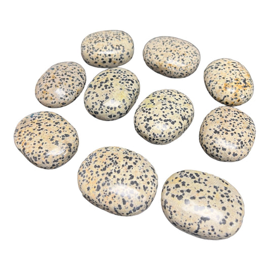 Dalmatian Jasper Palm Stones