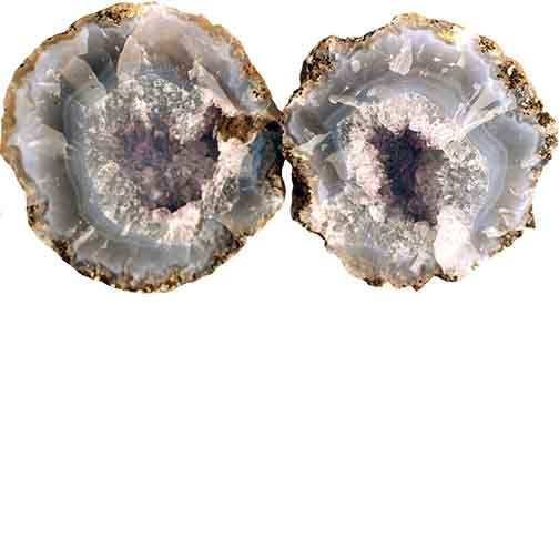 Las Choyas Coconut Semi Hollow Whole Geodes