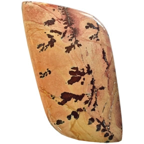 Owyhee Mountain Dendritic Jasper  Cabochons OWYHEE