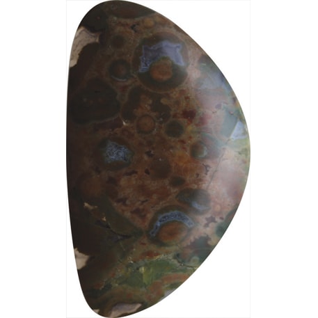 Rainforest Jasper Cabochons RAIN