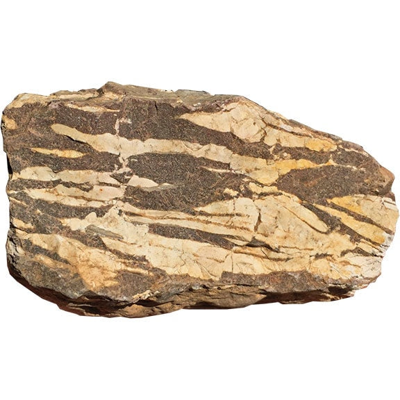 Zebra Jasper Lapidary Rough